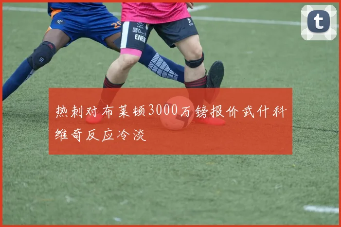 热刺对布莱顿3000万镑报价武什科维奇反应冷淡