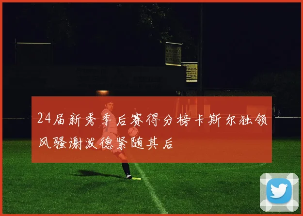 24届新秀季后赛得分榜卡斯尔独领风骚谢泼德紧随其后